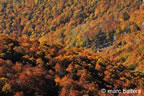 cevennes, automne, 2025,